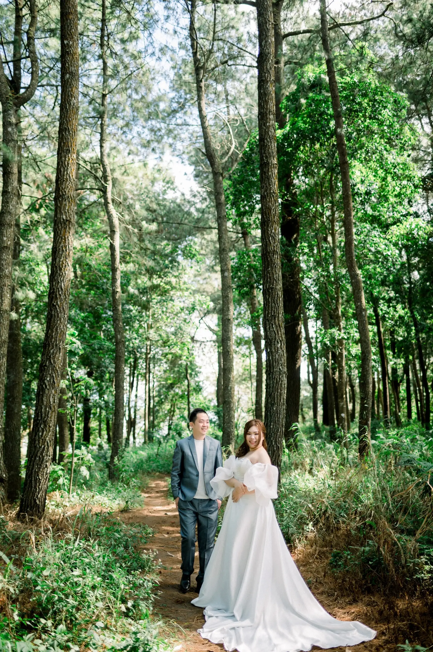 Pasangan berjalan di hutan pinus, pengantin wanita memakai gaun putih berekor